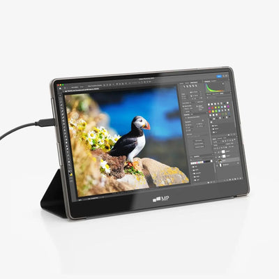 Mobile Pixels Glance Plus Portable OLED Full HD Laptop Monitor 15.6"
